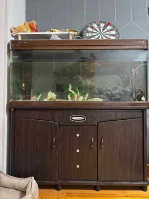Tumba va jihozlar bilan MINJIANG akvariumi (200 l) 1