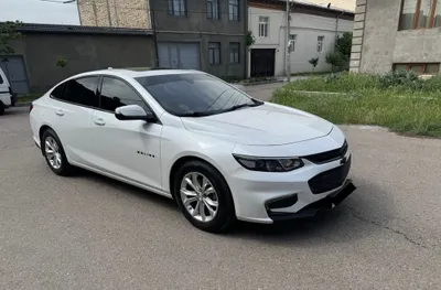 Malibu 2 2.4 Kraskasi tozza 1