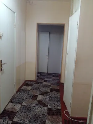 kvartiraga sheriklikka qizlar kerak