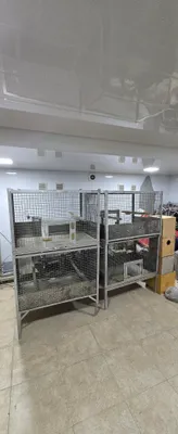 Продаются клетки для птиц, 50 долларов за штуку 1