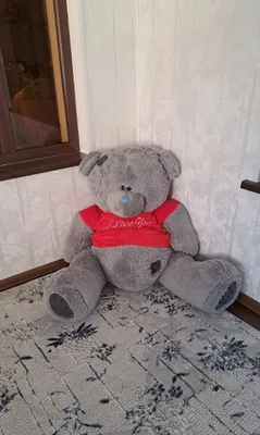 Катта янги айик сотилади буйи 1.5м