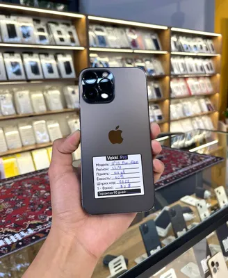 iPhone 13 Pro Max