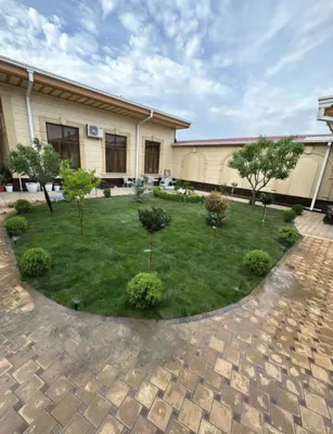Butun Samarqand bo‘ylab rulonli gazon 1