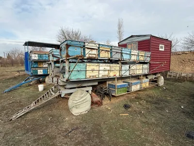 Пасека с прицепом и домиком 1