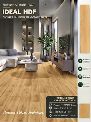 Tarket/Laminat/Tarket ombor narxlarida/Laminat 1