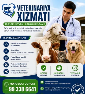 Veterinariya xizmati