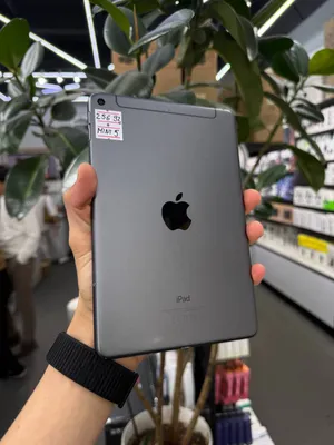 iPad mini 5 1