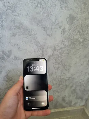 iphone 13 256gb 1