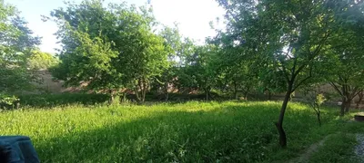 Кармана янги арик422_ уй 1