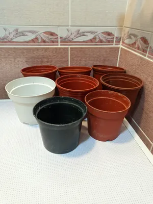 O‘simliklar va gullar uchun gultuvak. Kichik gultuvaklar. 1
