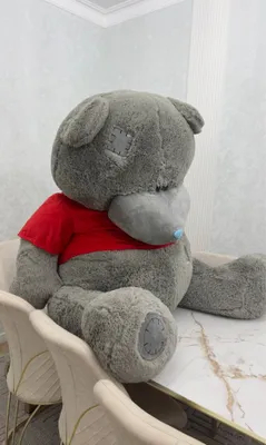 Плюшевый мишка тедди / Teddy / Teddi 1
