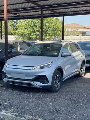 BYD Yuan Plus 2025/12 1