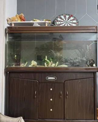 Tumba va jihozlari bilan katta MINJIANG akvariumi, ~200 l 1