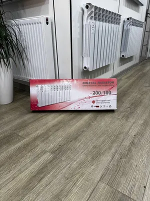 radiyator 200/100 1