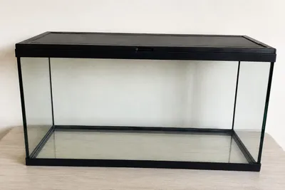 Ahatin chig‘anoqlari uchun akvarium