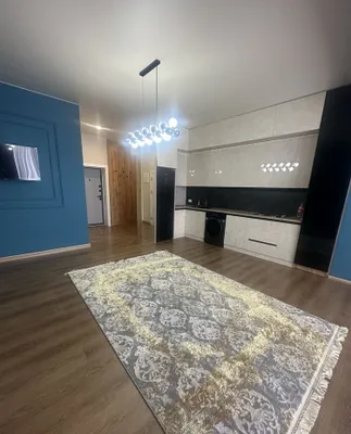 Hashamatli ofis + yevrota’mirli kvartira + 220 m² podval 1