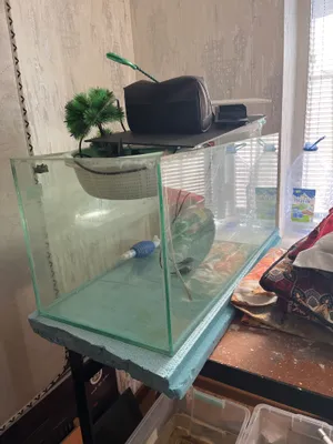 144 litrli akvarium sotiladi