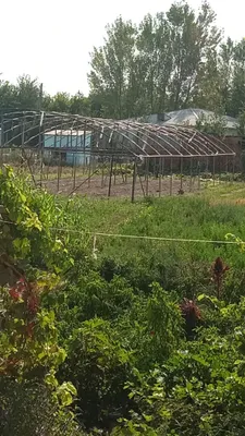 issiq xona sotiladi. 1