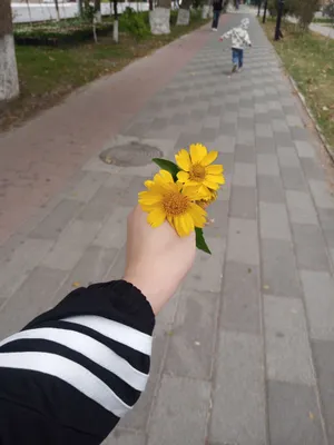 Услуга няни