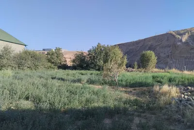 Yer uchaska sotiladi toza yer 1