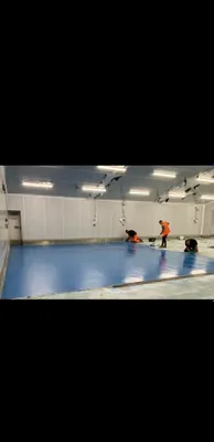 Предлагаем услугу по эпоксидный и полиуретановых полы 1