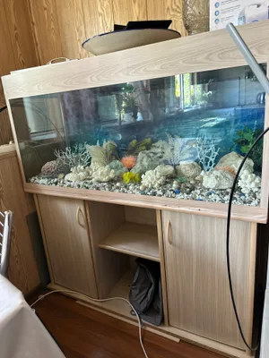 Akvarium sotamiz