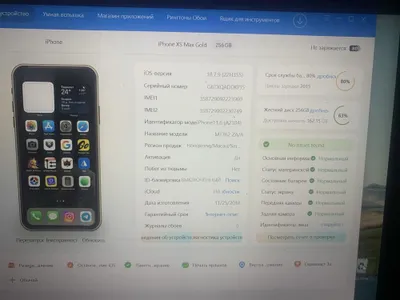 iPhone Xs MAX 256 ГБ