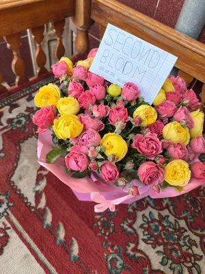 Tugilgan kunga sovga qilingan bugun 1