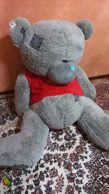 tetdi