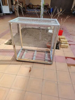 Клетка 1