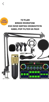 Микрофон BM 800 и звуковая карта 1