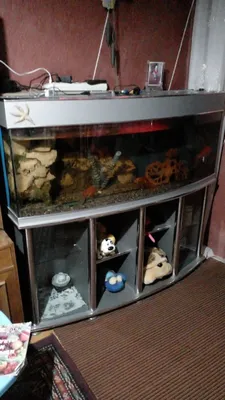 450 litrli akvarium sotiladi