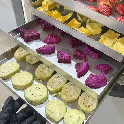 Сублиматор лиофилизатор сушилка для продуктов питания объёмом до 8кг 1