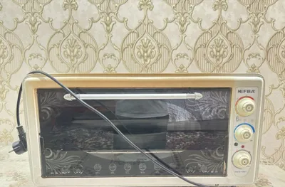 EFBA Turkey elektr pechi 1