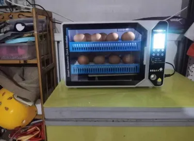 Инкубатор 1