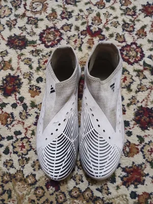 sarakanoshka adidas 1