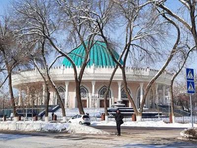Снежные кроны и солнечные горизонты Ташкента: экскурсия-погружение 1