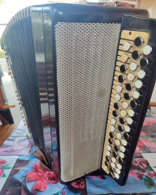Akardion musiqa asbobi 1