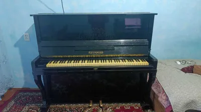 “Belarus” pianinosi 1