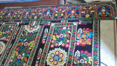 palak 1