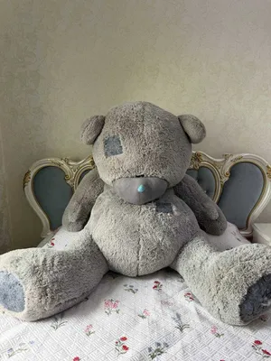 Teddy ayiqchasi