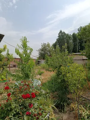Yer uchastkasidagi uy