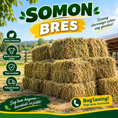 Somon pres