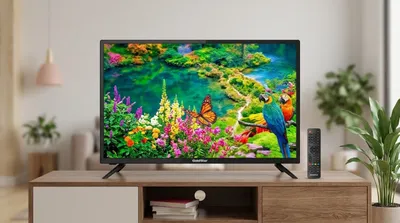 televizor 1