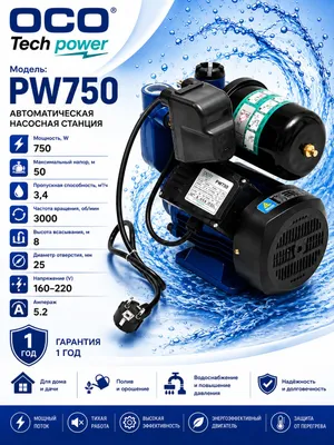 Nasos PW 750 1