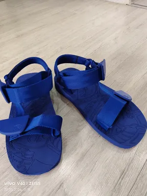 Burberry shippaklari 1