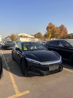 BYD HAN L 1 pozitsiya 2025 yil 1