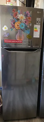 2камерный холодильник LGInverter Linear Compressor 1
