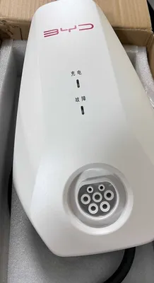 Новое зарядное устройство для BYD 1