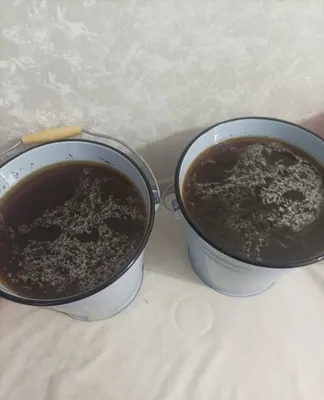 Tozza togʻ asali 1